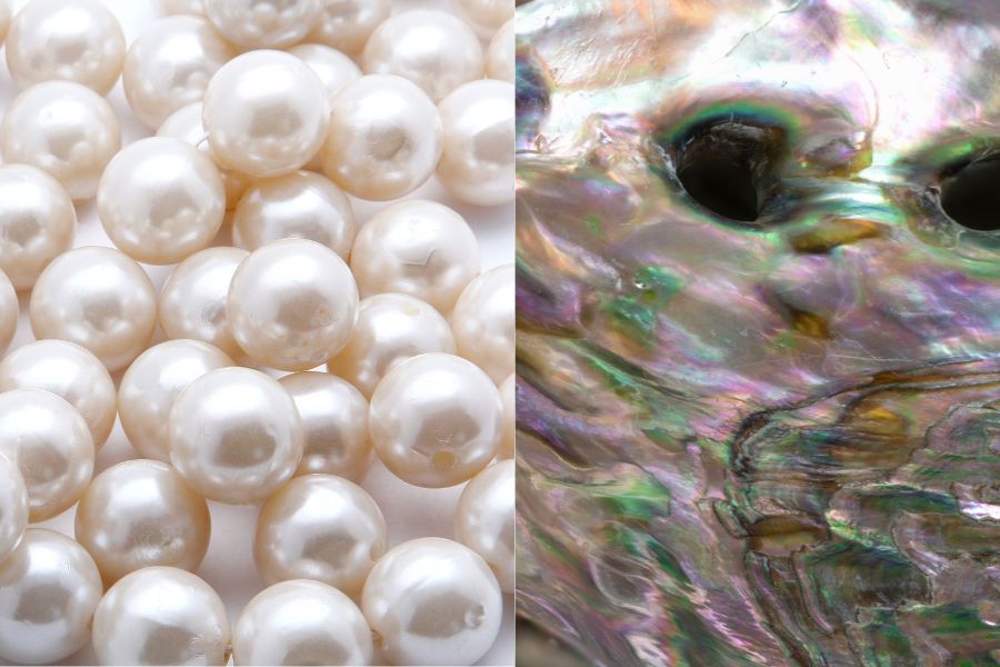 Differences Between Pearls And Mother of pearl explained